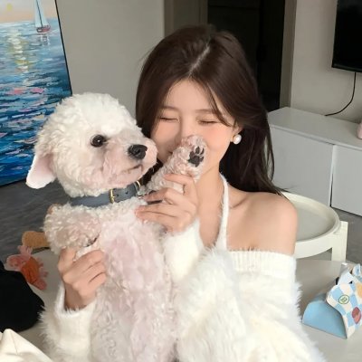 完美的主人