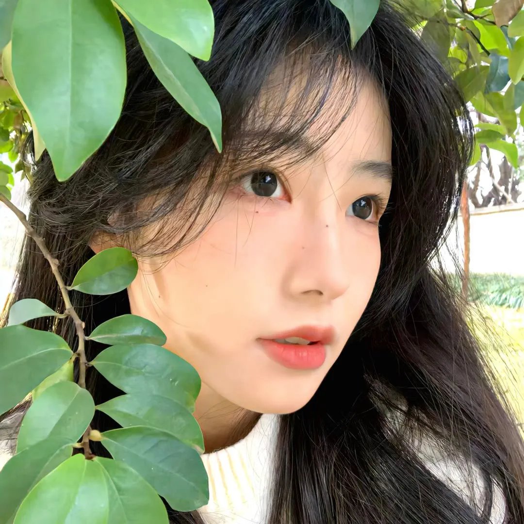云台春锁