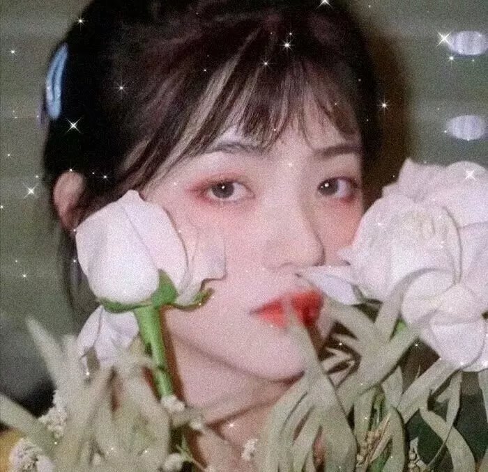 玉楼春梦
